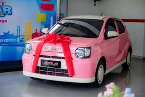 Beli Terios untuk Keluarga, Pelanggan di Lampung Dapat Kejutan Ayla Modern Vintage dari Daihatsu