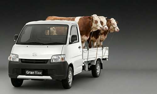 Gran Max Pick Up Muat Berapa Ekor Hewan Kurban?