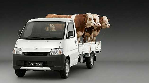 Gran Max Pick Up Muat Berapa Ekor Hewan Kurban?