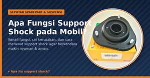 Apa Itu Support Shock?